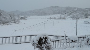 わが家から見た雪景色